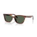 RAY-BAN 0RB2243D Occhiali sole RAY-BAN 0RB2243D Occhiali sole