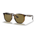 RAY-BAN 0RB4306 Occhiali sole