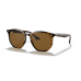 RAY-BAN 0RB4306 Occhiali sole