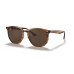 RAY-BAN 0RB4306 Occhiali sole